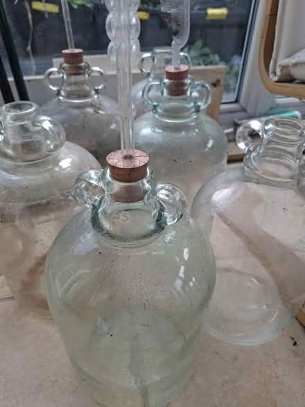 Photo of free 7 demijohns, winemaking (Stratford North E15) #1