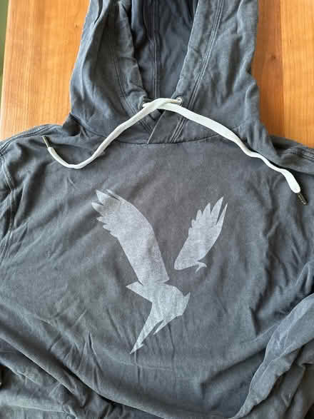 Photo of free American Eagle lightweight hoodie (Watertown, MA) #1