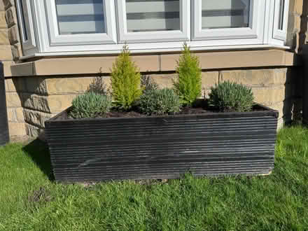 Photo of free Wooden planter (HG3) #2