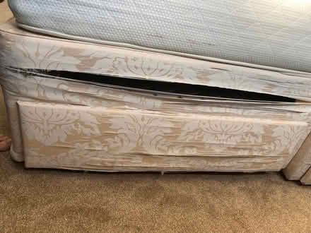 Photo of free Double bed base and mattress (Loxley S6) #4