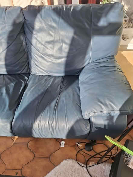 Photo of free Bought this of oak tree charity shop (Sockbridge CA10) #1