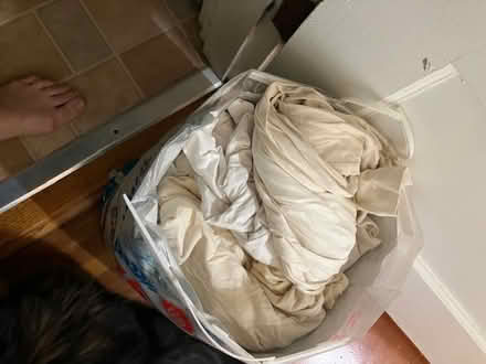 Photo of free bag of tshirts for rags (sausalito) #1