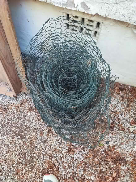 Photo of free Chicken wire (L37) #1