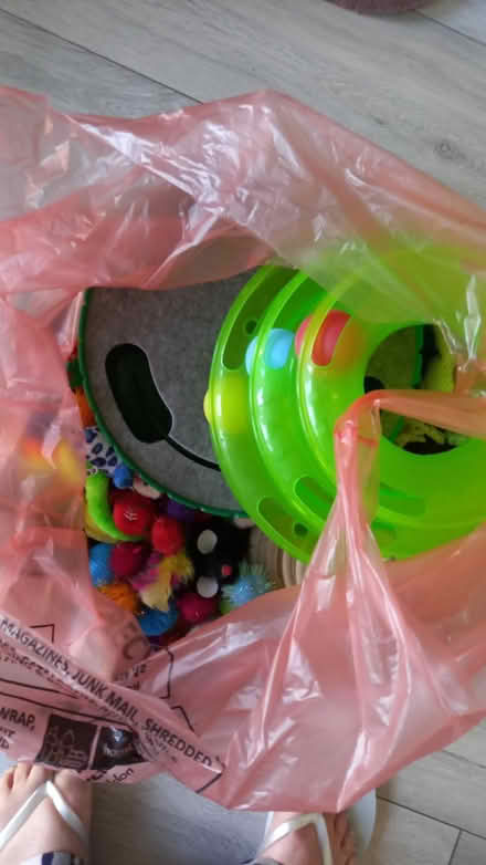 Photo of free Cat toys (SS15 5LL) #2