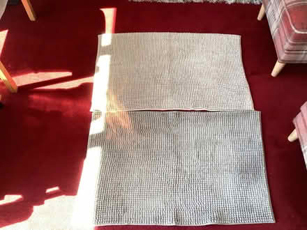 Photo of free 2 bath mats (Fords Farm RG30) #1