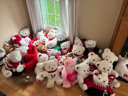 Photo of free Teddy bears (Darien) #1