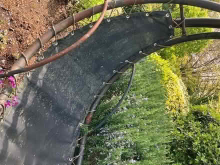 Photo of free Sicily Dream Chair 276384 (Warminster BA12) #1