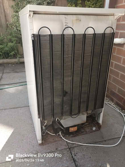 Photo of free Zanussi larder Fridge (Llandrindod LD1) #3