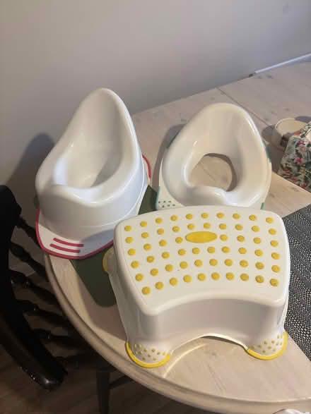 Photo of free Children potty, seat and stall (BA13) #1