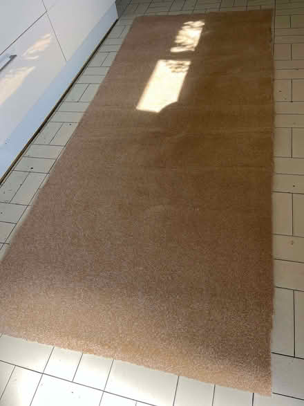 Photo of free Carpet offcut (Jesmond NE2) #1