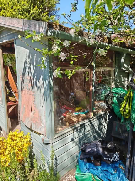 Photo of free 8ftx7ft x7ft shed (Send GU23) #2