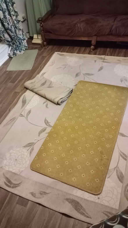 Photo of free 3 rugs (Homerton E9) #1
