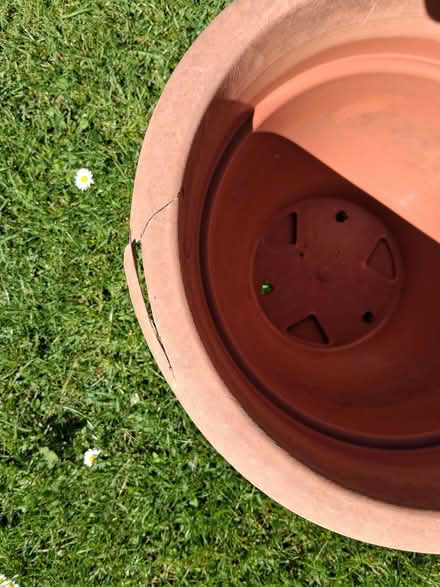 Photo of free Plant Pots (Newtown GL20) #3