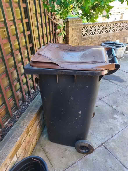 Photo of free Bin (Dh3) #1
