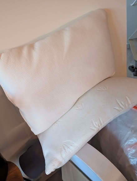 Photo of free Pillows (Herne Hill SE24) #1