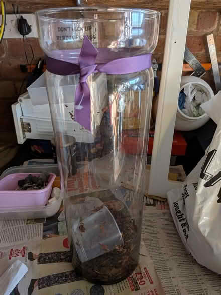 Photo of free Tall glass orchid jar (Cannon Park CV4) #1