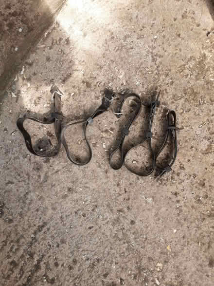 Photo of free Tree tie straps (Emmbrook RG41) #1