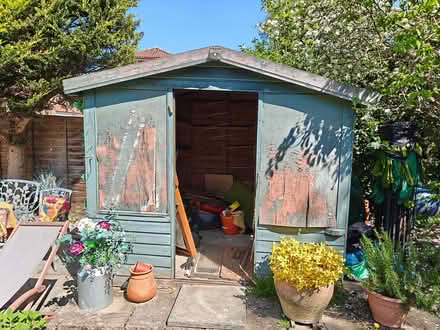 Photo of free 8ftx7ft x7ft shed (Send GU23) #3