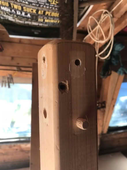 Photo of free Cabin bed. 5ft (HR4) #3