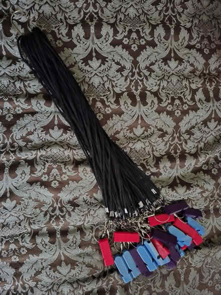 Photo of free Whistles on Lanyards (West 7th) #1