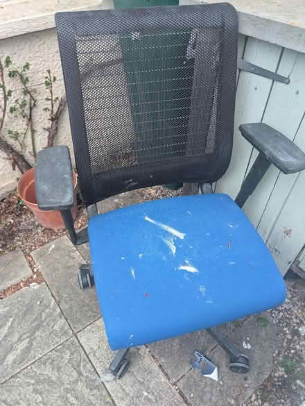 Photo of free Office chair (SE20) #1