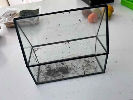 Photo of free Mini plant greenhouse terrarium (RG4) #1