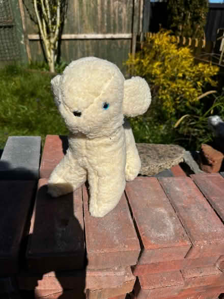 Photo of free Soft toy lamb (North Bersted PO22) #1