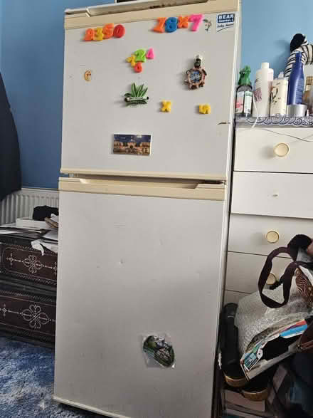 Photo of free Small fridge freezer (N16 Stoke Newington) #1