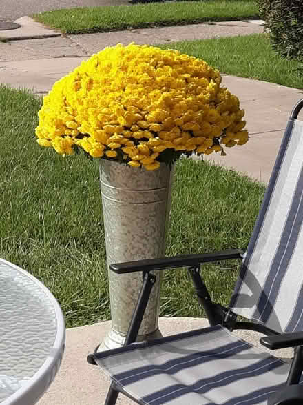 Photo of Two Tall Heavy Duty Outdoor Vases (West side of Detroit) #2