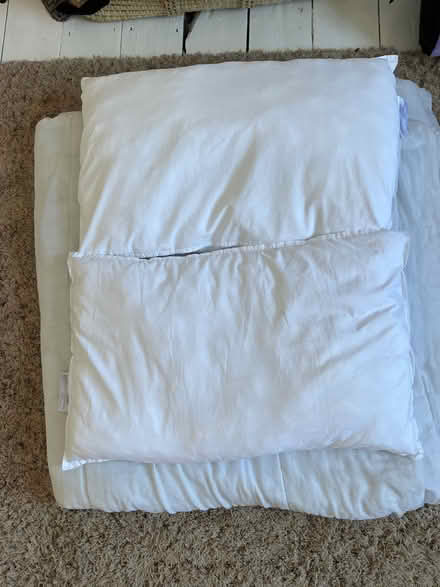 Photo of free Double duvet and 2 pillows (East Twerton BA2) #1