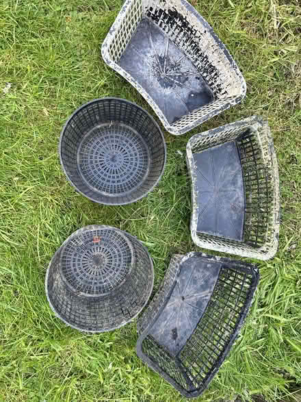 Photo of free Mesh baskets for pond planting (Long Melford CO10) #1