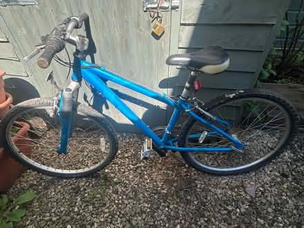 Photo of free Ladies mountain bike (Birlingham, WR10) #1