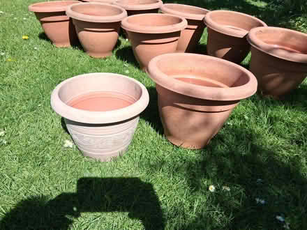 Photo of free Plant Pots (Newtown GL20) #2