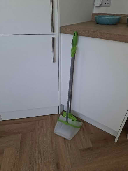 Photo of free Upright dustpan and brush (Dronfield Woodhouse S18) #1