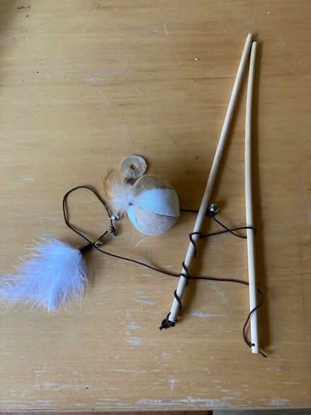 Photo of free Various cat related items (Fishponds) #4