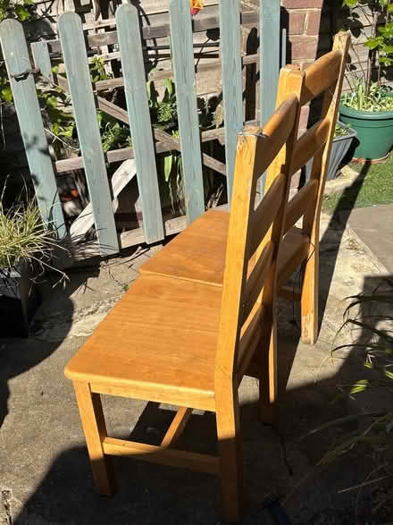 Photo of free Solid Wood Dining Chairs (KT9 in Hook) #2