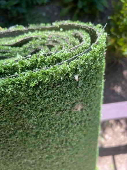 Photo of free Artificial Grass (Bethnal Green E1) #2