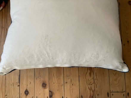 Photo of free Two large floor cushions (E17) #4