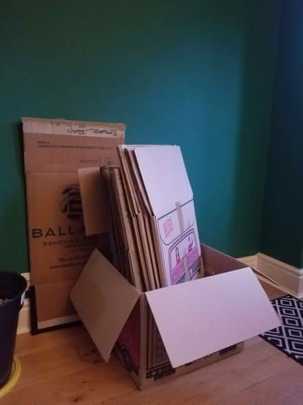 Photo of free Moving Boxes (Hillsborough S6) #1