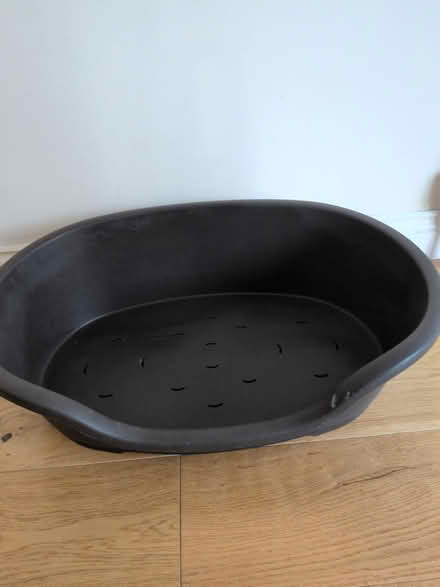 Photo of free Dog bed (Paignton) #1