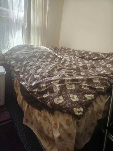 Photo of free Double bed (N16 Stoke Newington) #1
