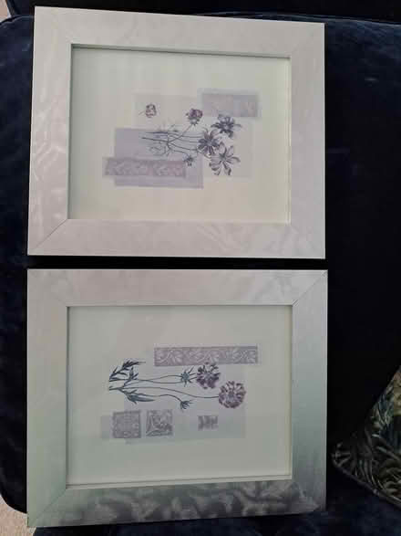 Photo of free Pretty pictures (Monkseaton NE25) #1