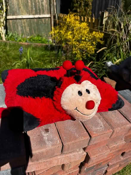 Photo of free Ladybird cushion (North Bersted PO22) #1