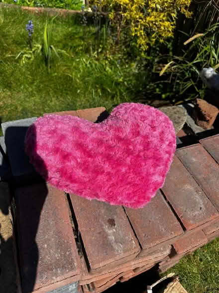 Photo of free Heart cushion (North Bersted PO22) #1