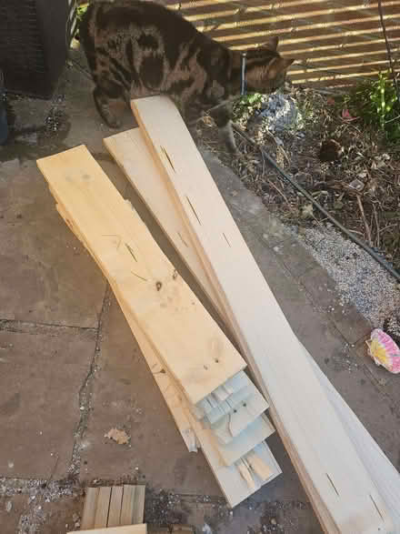 Photo of free Good quality timber (Bromham MK43) #1