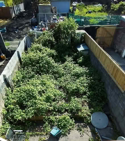 Photo of Gardening tools (Dafen SA15) #1