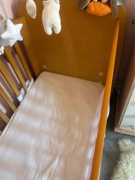 Photo of free Space saving cot (PO20) #2
