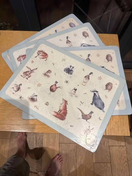 Photo of free Large table mats (Hove BN3) #2
