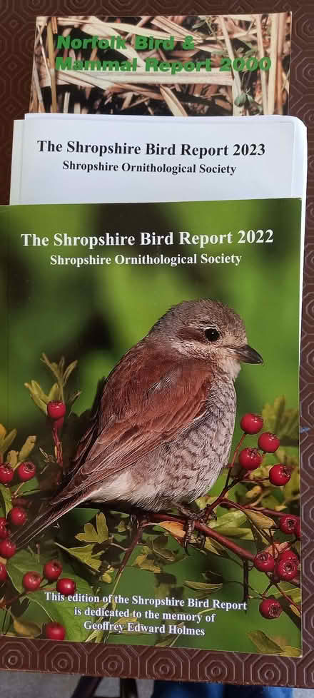 Photo of free Shropshire bird reports (Dothill TF1) #1