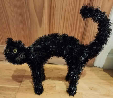 Photo of free Black Halloween cat (Elmers End BR3) #1